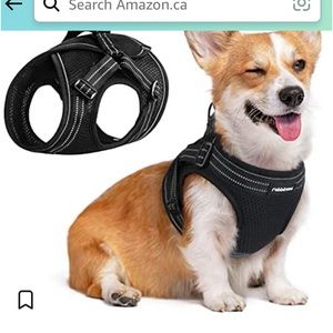 I have a small harness for a dog.